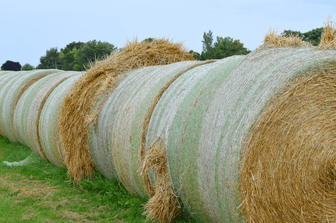Flash Fiction Maxx Highgate Bales of Hay in Niagara