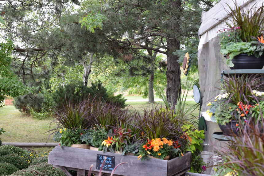 Hildreth Farm Market Stall