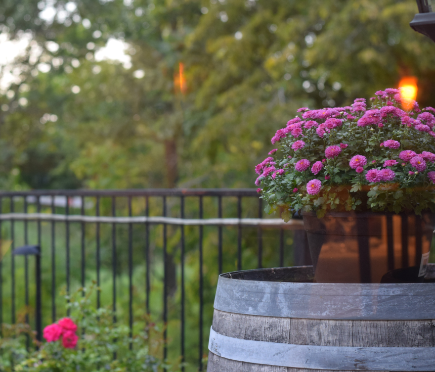 Strewn Winery and Oliv Restaurant Niagara on the Lake