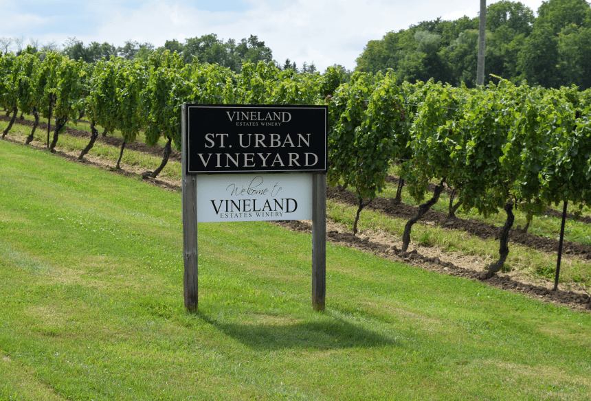 St. Urban Vineyard Vineland Estates Winery