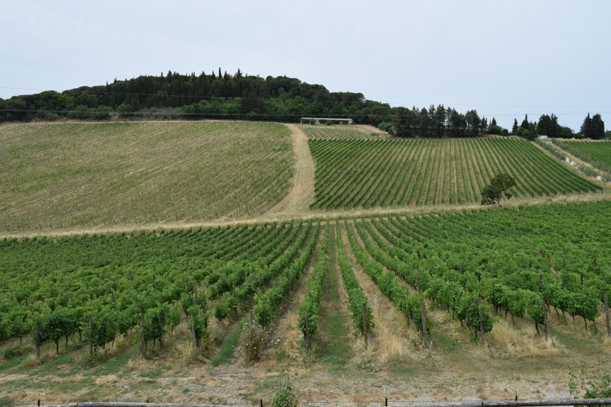 Badia a Passignano in Tuscany Italy. Where to eat, where to stay, what to do.