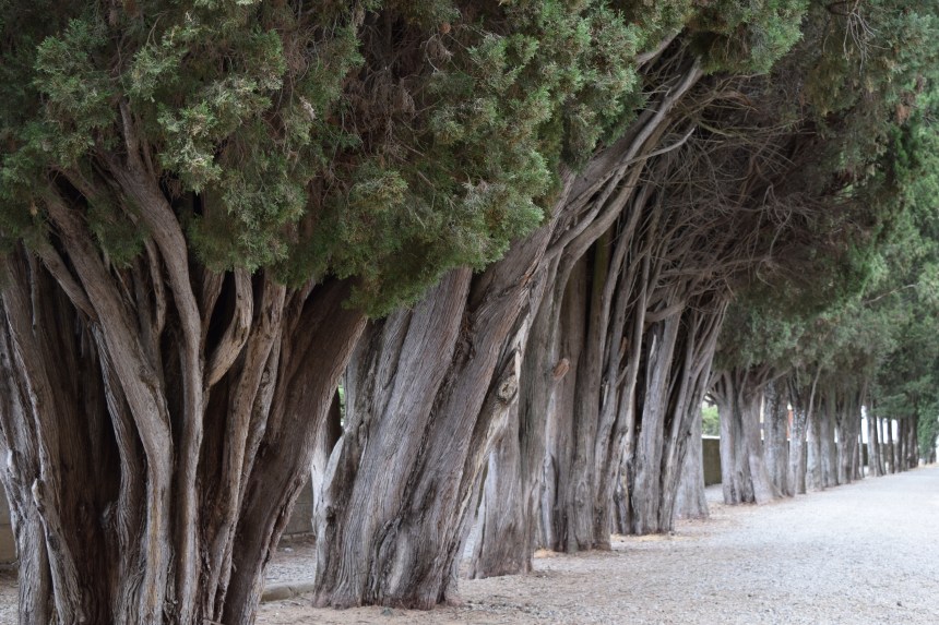 Badia a Passignano in Tuscany Italy. Where to eat, where to stay, what to do.