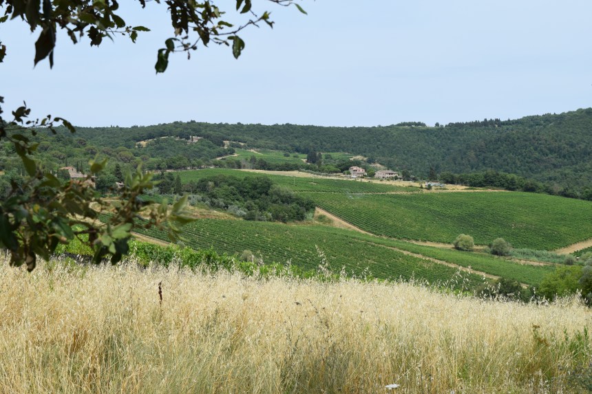 Badia a Passignano in Tuscany Italy. Where to eat, where to stay, what to do.