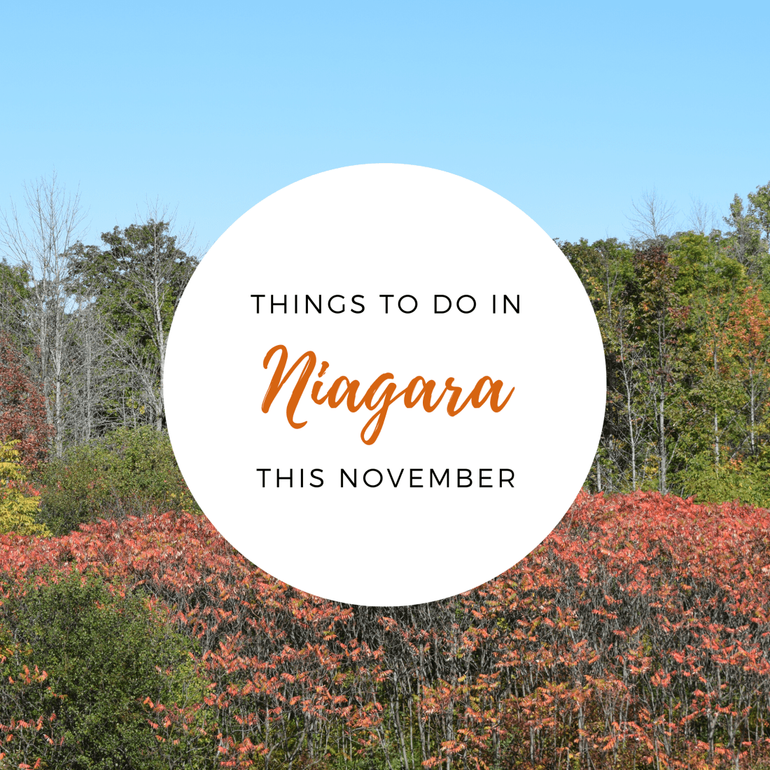 Things to do in Niagara this November