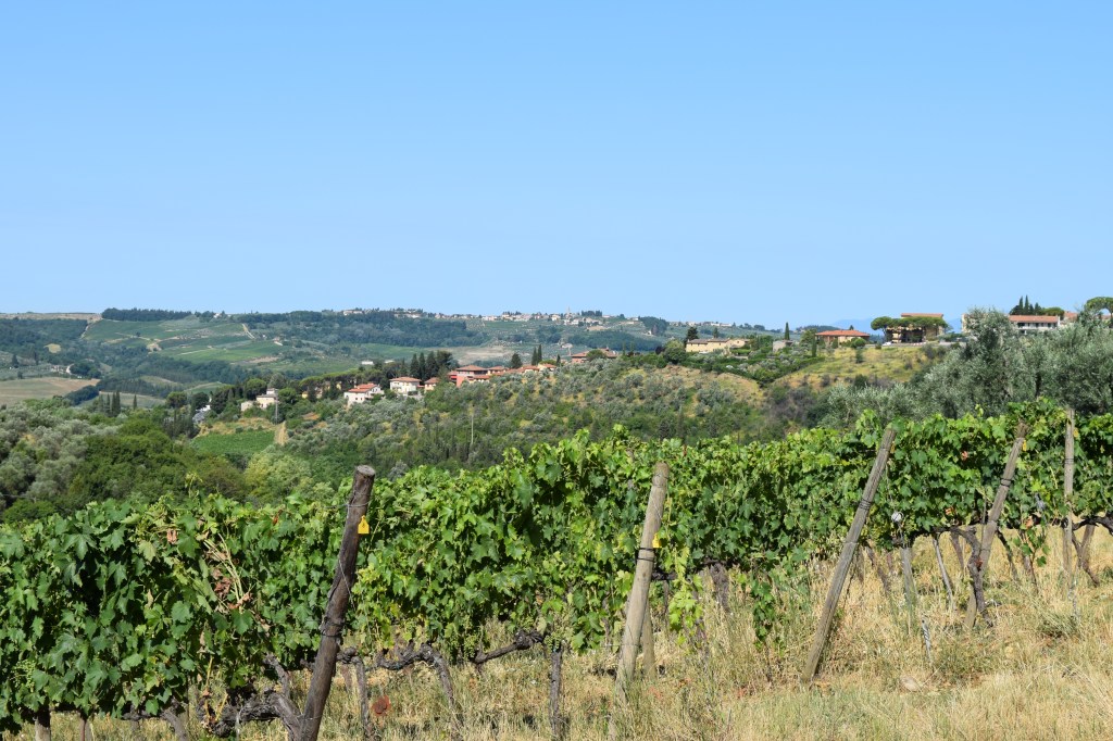 Villa Le Corti Tuscany Italy, the wine cellars and the fabulous Chianti Classico wines