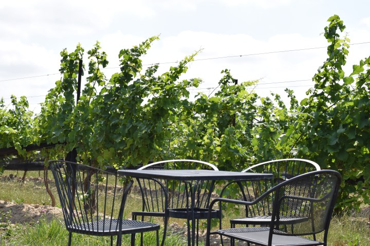 Review of Calamus Estate Winery in Jordan Niagara Ontario