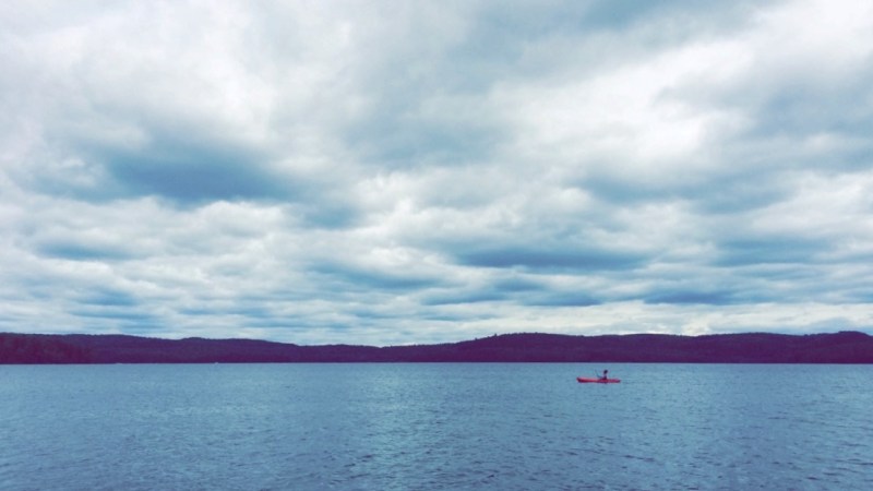 Friday Fictioneers Story about Dolphin in Lake Ontario