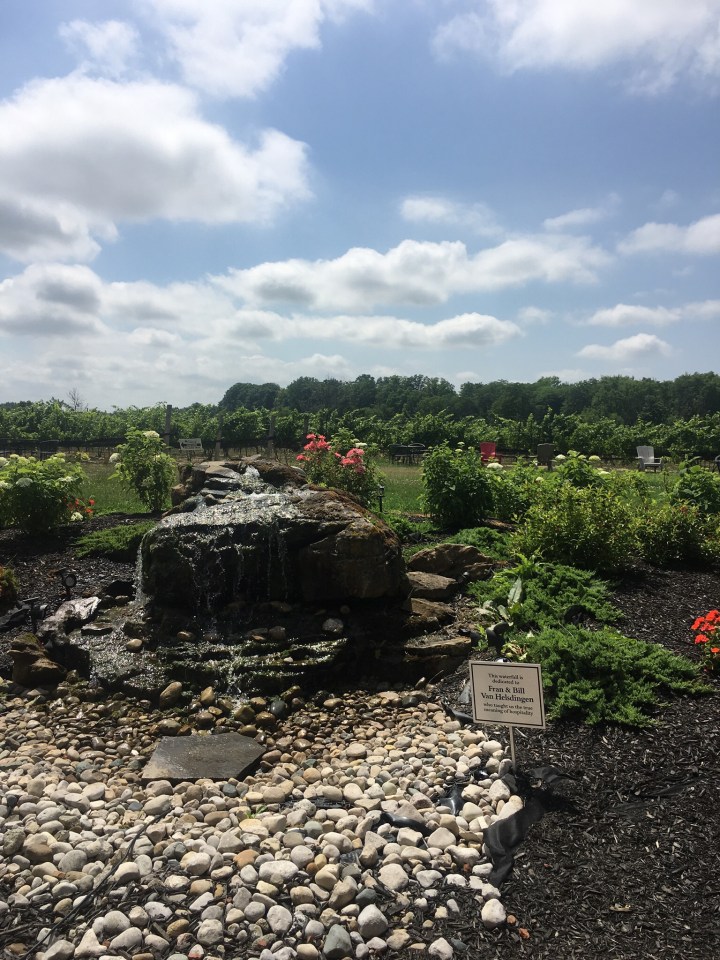 Review of Calamus Estate Winery in Jordan Niagara Ontario