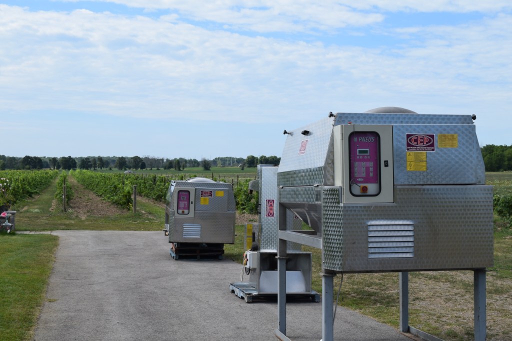 Villa Bacchus Winery and Bed and Breakfast Niagara