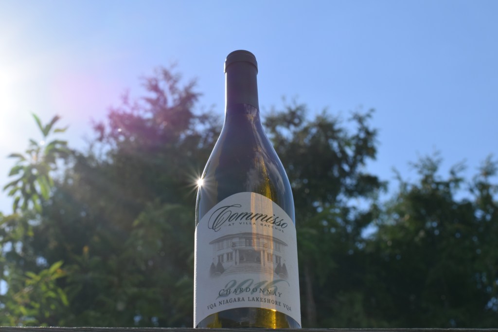 Villa Bacchus Winery Wines