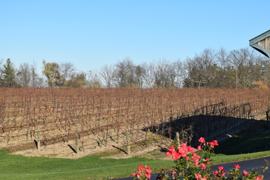 Hernder Estate Winery Niagara Ontario. Experience the wines and the history.