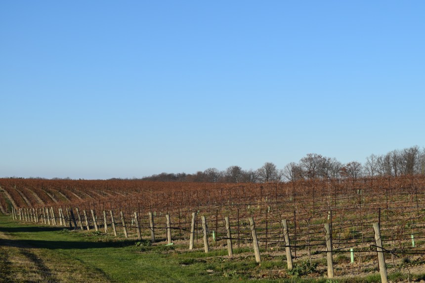 Hernder Estate Winery Niagara Ontario. Experience the wines and the history.