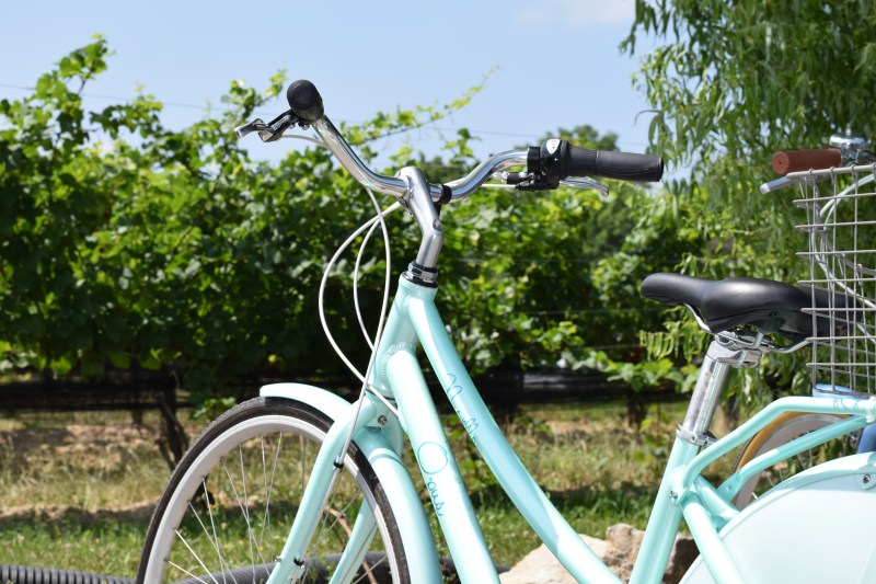 Cono Sur Cabernet Sauvignon Camenere Blend 2019. A heavenly wine from Colchagua Chile. Read the story.