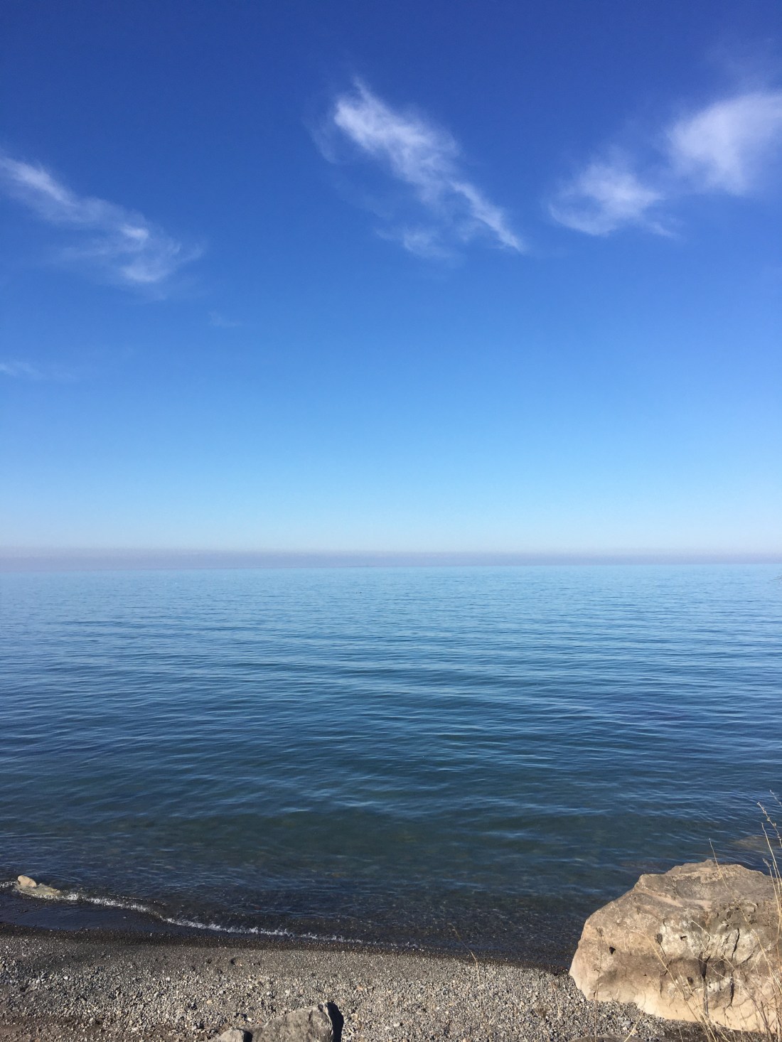 Pelee Island Winery Ruggles Run. The story of Lola and the Grey Fox. Not just a wine review.