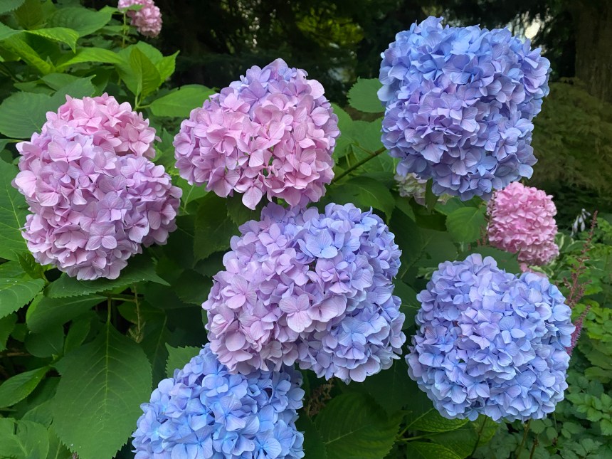 A trip along the Huron Shores will bring you to Bayfield Ontario along Highway 21. This pretty and quaint little village is not to be missed.