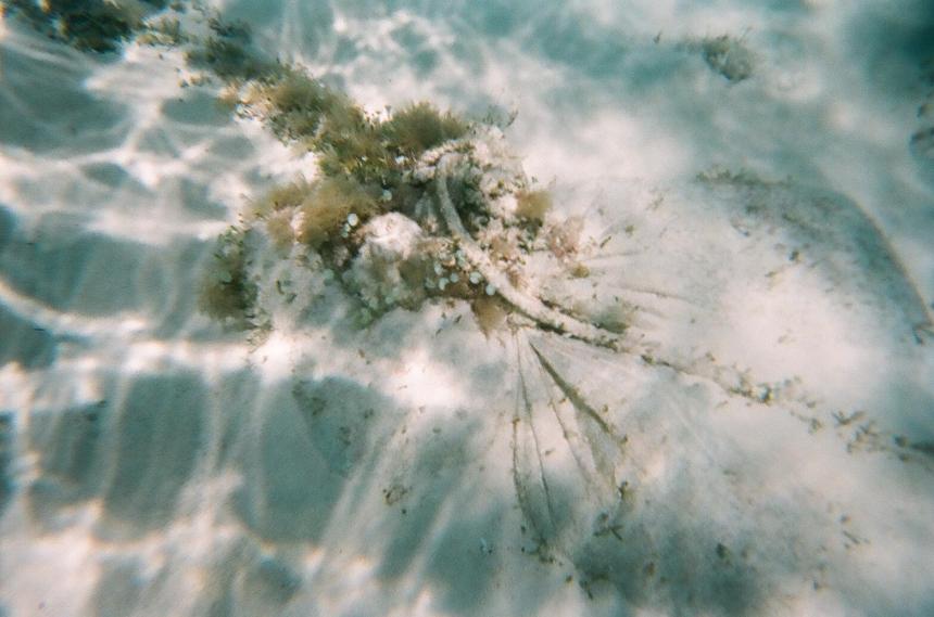 SeaTrek Grand Cayman Walking on the sea floor