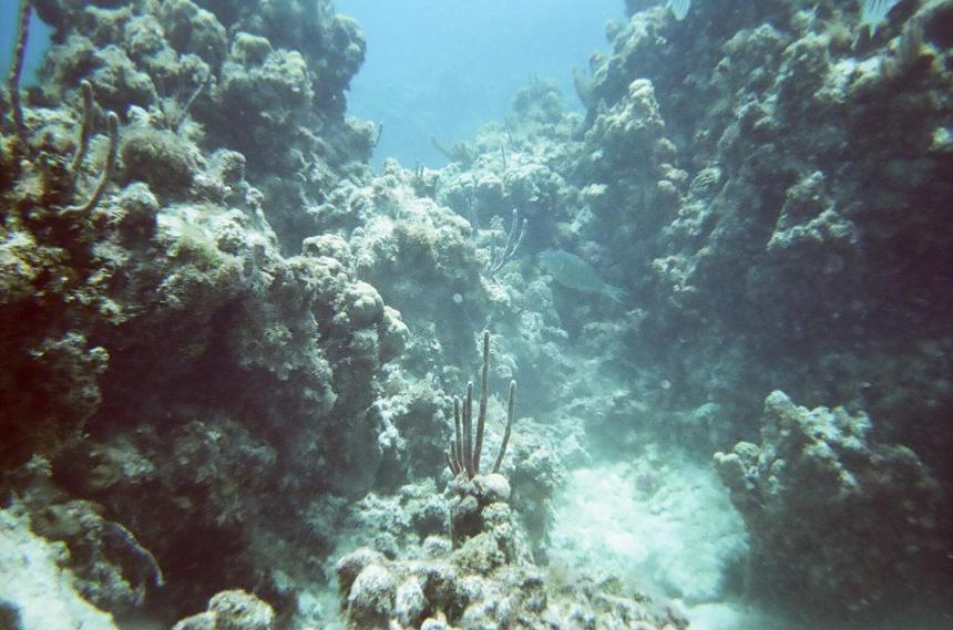 SeaTrek Grand Cayman Walking on the sea floor