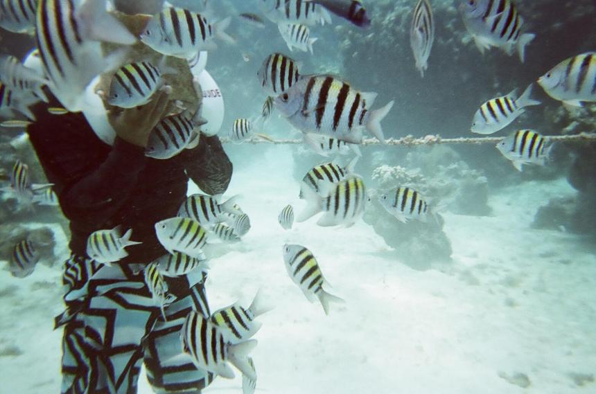 SeaTrek Grand Cayman Walking on the sea floor