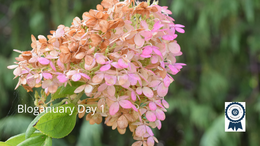 Bloganuary Day 1. A blog a day for January, thanks to WordPress.