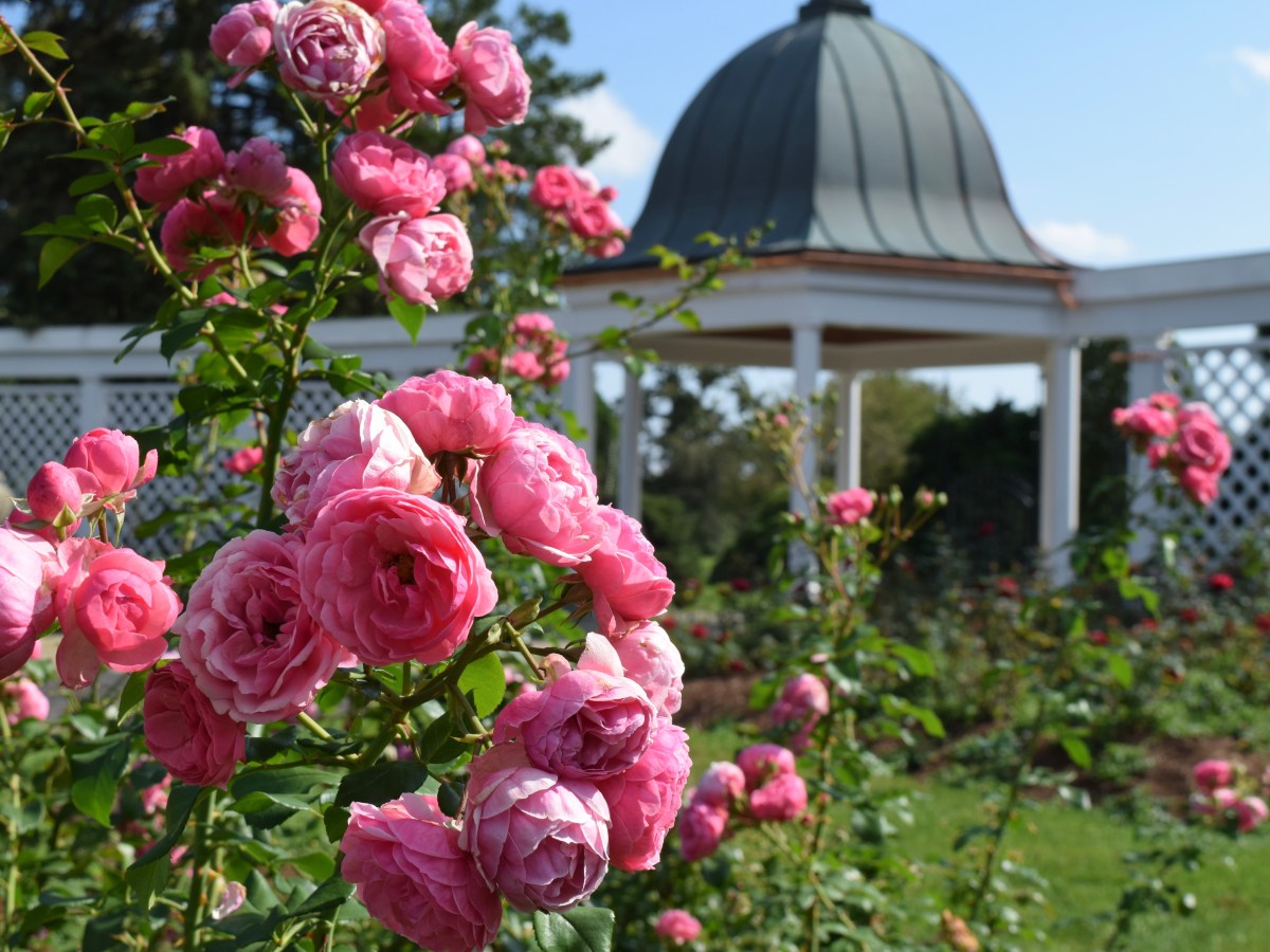Niagara Parks Botanical Gardens A Secret&nbsp;Wonder