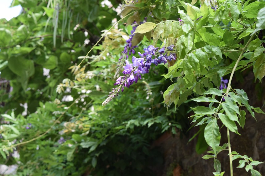 Montefioralle A little Italian Village behind stone walls