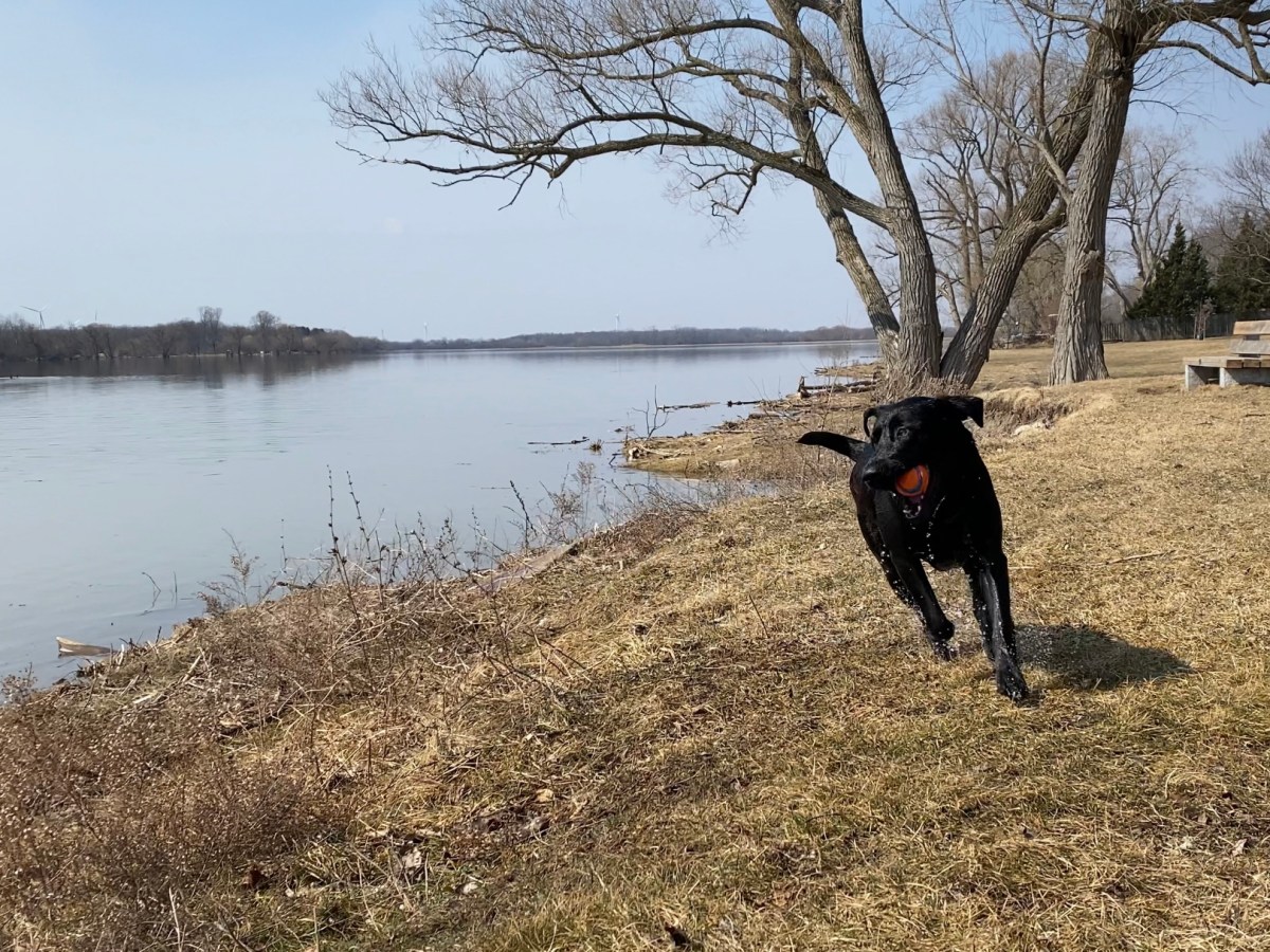 What is the Meaning of&nbsp;Spring