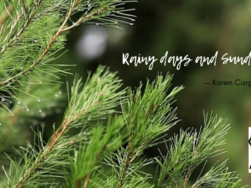 Rainy Days and Sundays:&nbsp;Bloganuary