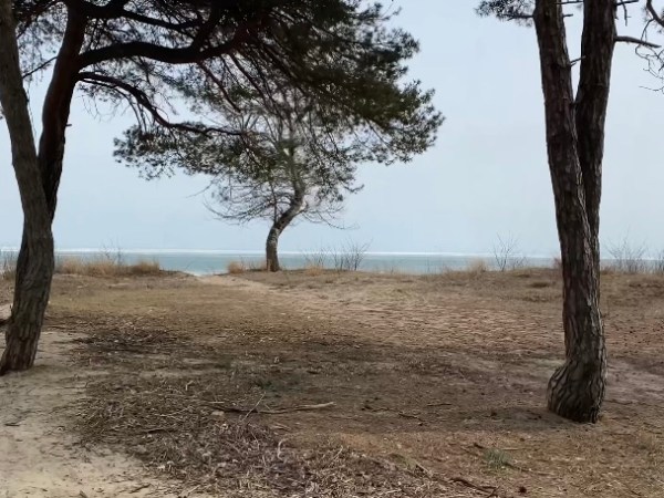 Nickel Beach and Port Promenade in Port&nbsp;Colborne