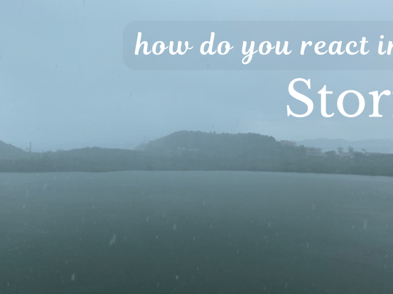 Happiness Project Week 29 In the&nbsp;Storm