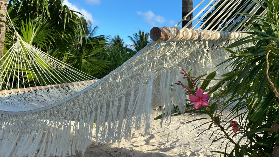 Hammock in a tropical paradise