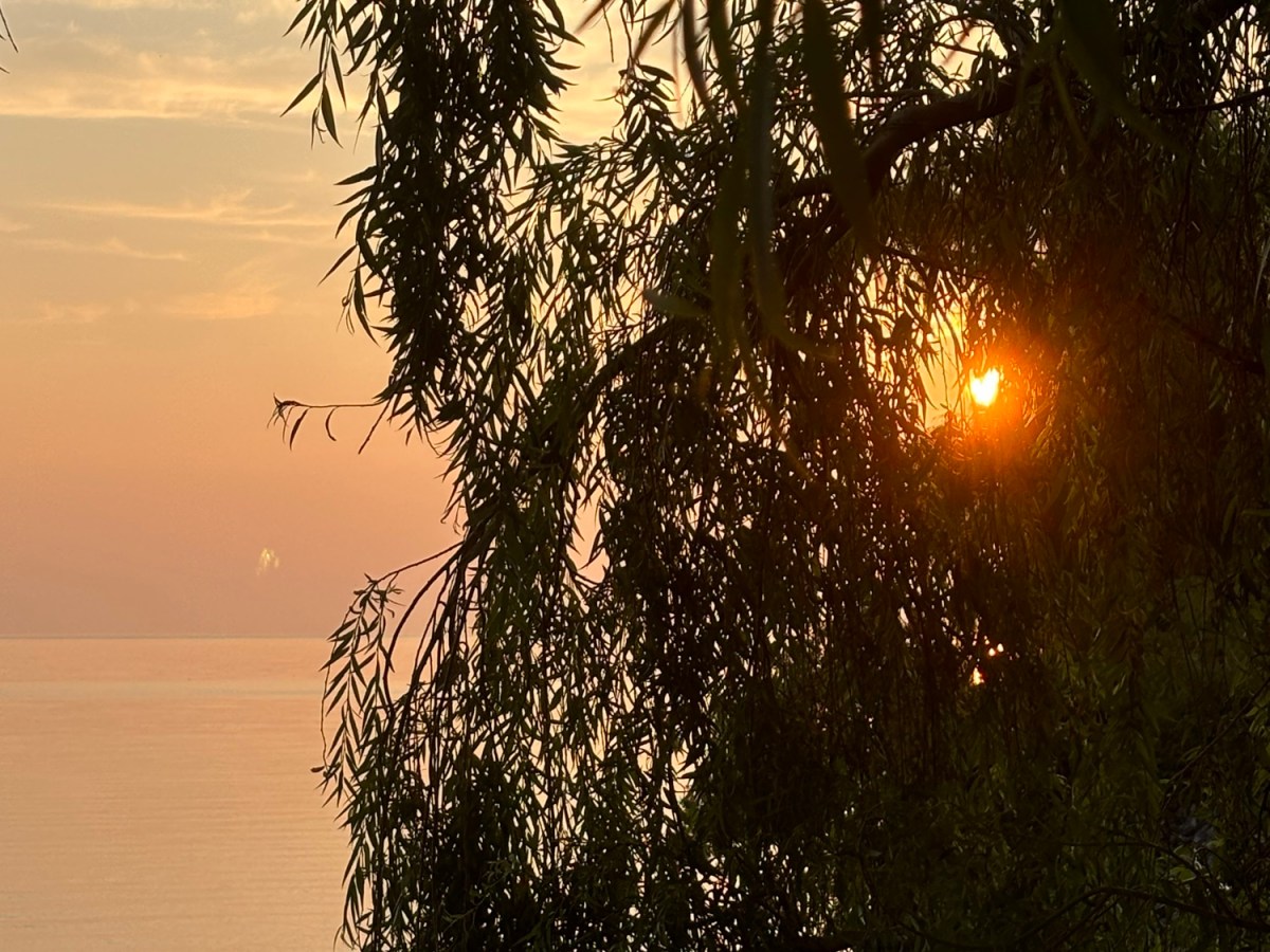 What’s Your Life&nbsp;Month