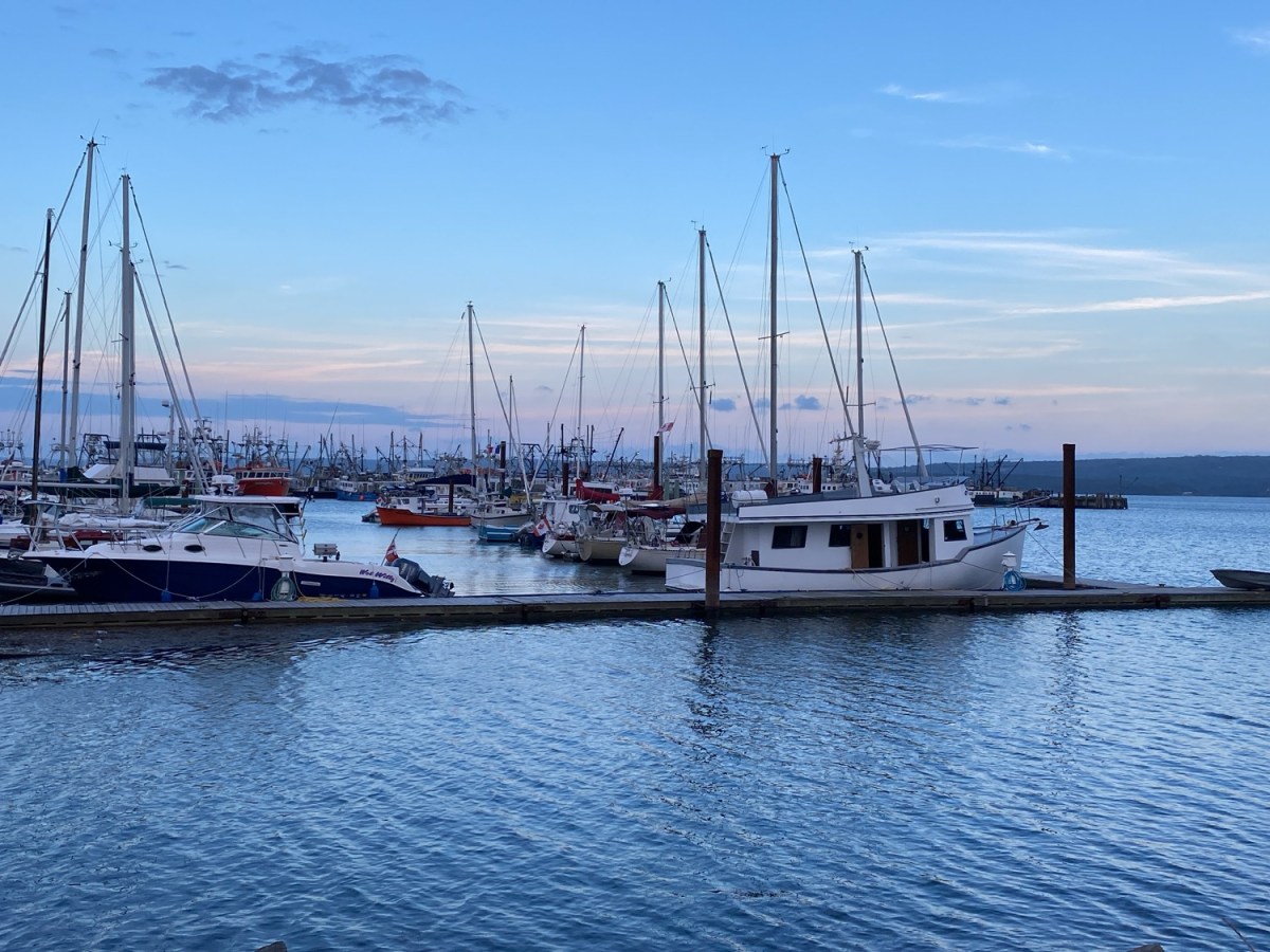 You’ll Never Know What You’ll Find in Digby Nova&nbsp;Scotia