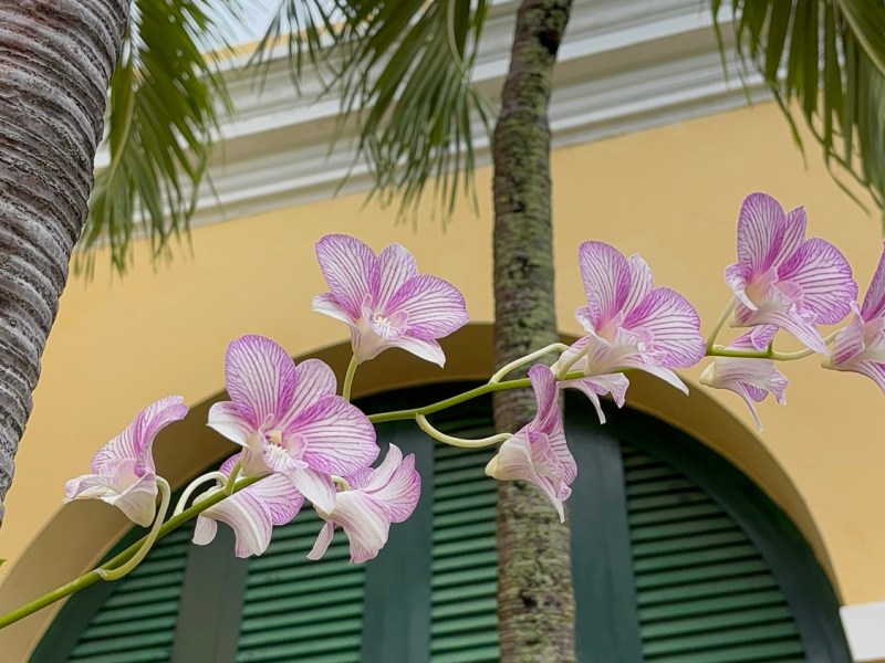 Commensalism Imagine the&nbsp;Possibilities