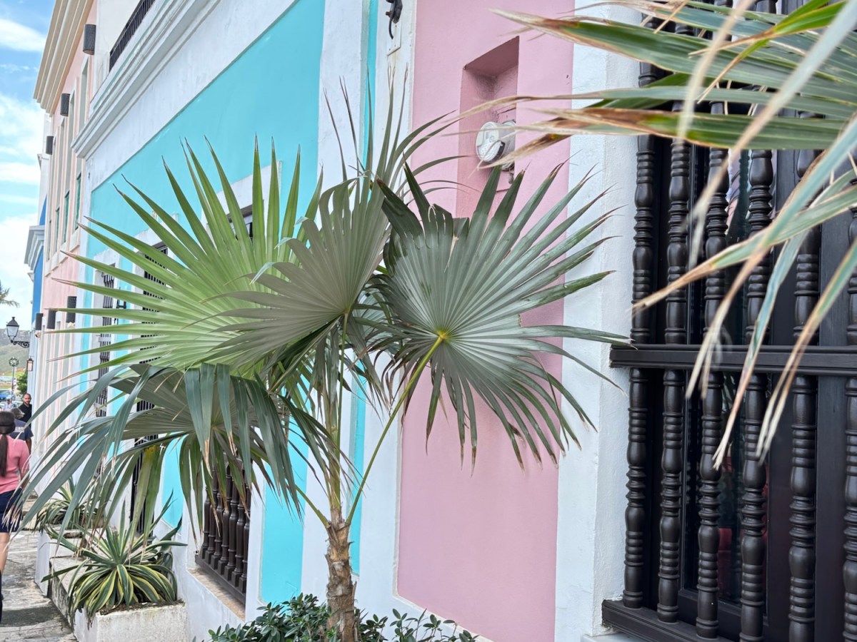 Bad Neighbours and Life Lessons in the Pastel Streets of Old San&nbsp;Jan