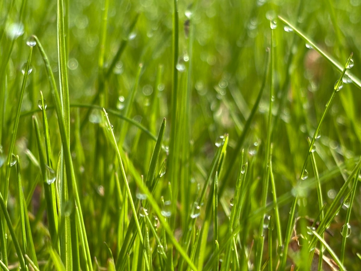 A Divine Conversation