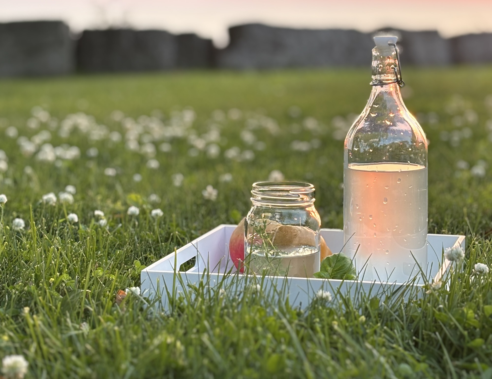 Summer Series: Lemonade Days