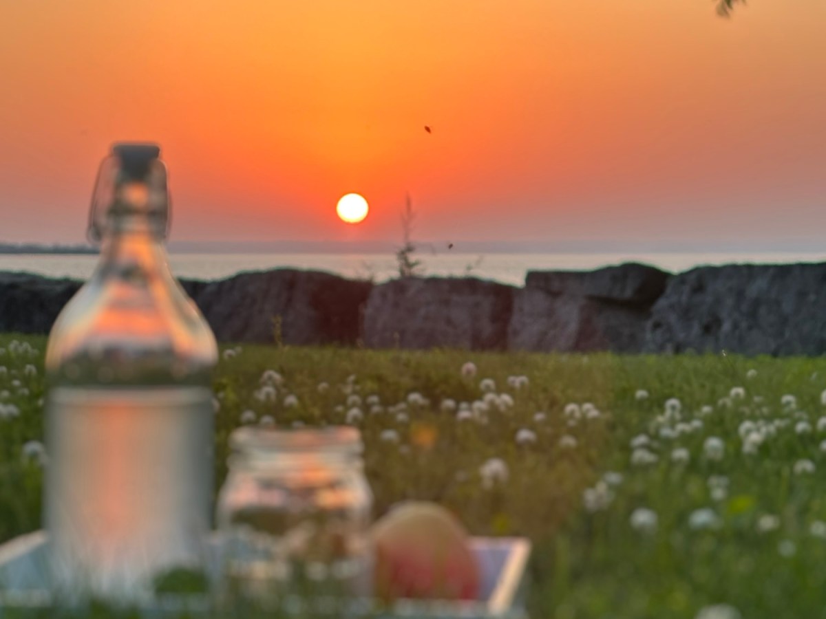 Lemonade Days: Love and War in Week&nbsp;1