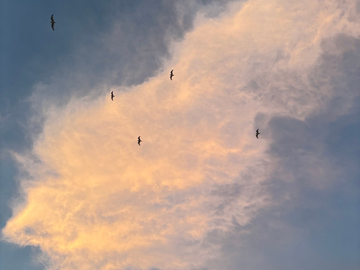 It is the End and the&nbsp;Beginning