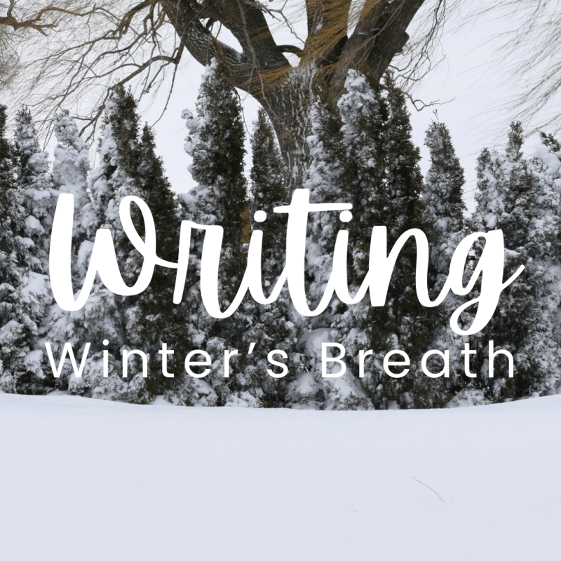 A Seasonal Writing Invitation For&nbsp;You